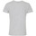 textil Hombre Camisetas manga corta Degré Celsius T-shirt manches courtes homme CERGIO Gris