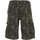 textil Hombre Shorts / Bermudas Harry Kayn Bermuda homme CEZOR Verde