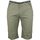 textil Hombre Shorts / Bermudas Srk Bermuda homme CLASSI Verde