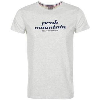 textil Hombre Camisetas manga corta Peak Mountain T-shirt manches courtes homme COSMO Gris