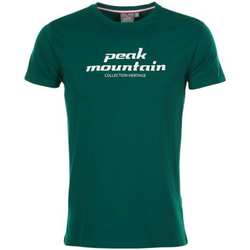 textil Hombre Camisetas manga corta Peak Mountain T-shirt manches courtes homme COSMO Verde