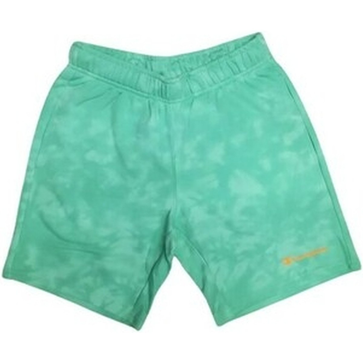 textil Hombre Shorts / Bermudas Champion  Verde