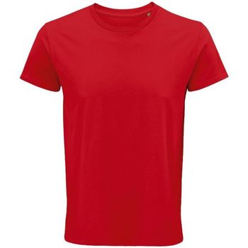 textil Hombre Tops y Camisetas Sols CRUSADER MEN Rojo