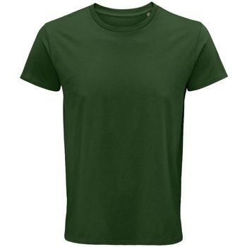 textil Hombre Tops y Camisetas Sols CRUSADER MEN Verde