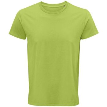 textil Hombre Tops y Camisetas Sols CRUSADER MEN Verde