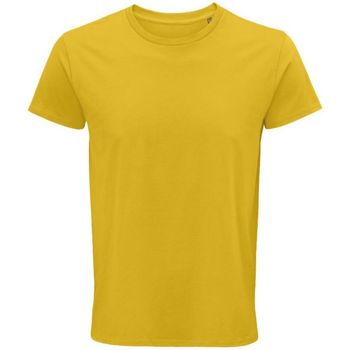textil Hombre Tops y Camisetas Sols CRUSADER MEN Amarillo