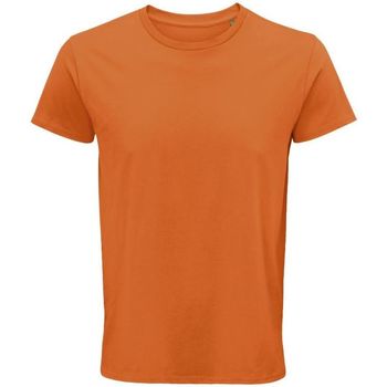 textil Hombre Tops y Camisetas Sols CRUSADER MEN Naranja