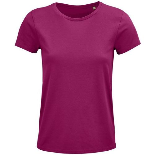 textil Mujer Tops y Camisetas Sols CRUSADER WOMEN Violeta