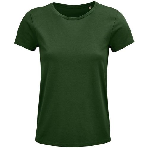 textil Mujer Tops y Camisetas Sols CRUSADER WOMEN Verde