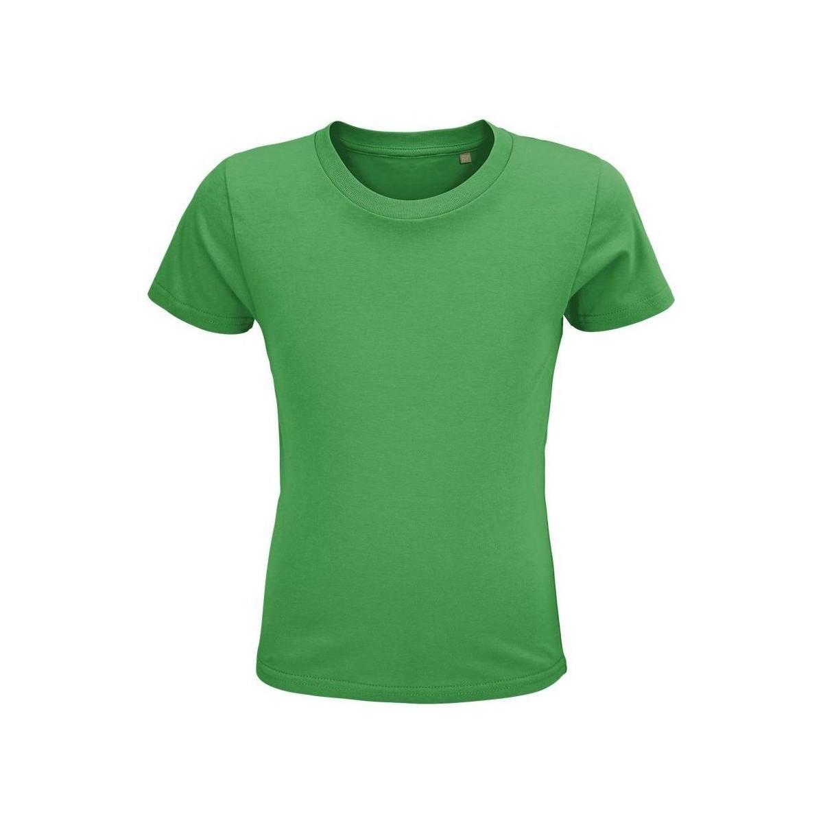 textil Niños Tops y Camisetas Sols CRUSADER KIDS Verde
