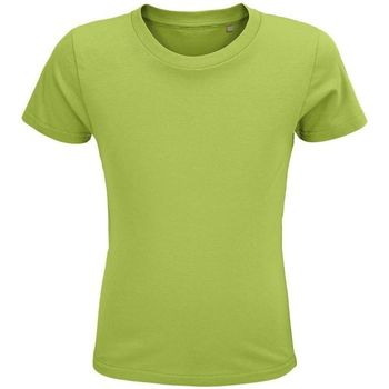 textil Niños Tops y Camisetas Sols CRUSADER KIDS Verde