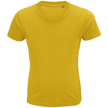 textil Niños Tops y Camisetas Sols CRUSADER KIDS Amarillo