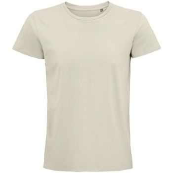 textil Hombre Tops y Camisetas Sols PIONNER MEN camiseta hombre 100% algodón biológico natural Blanco