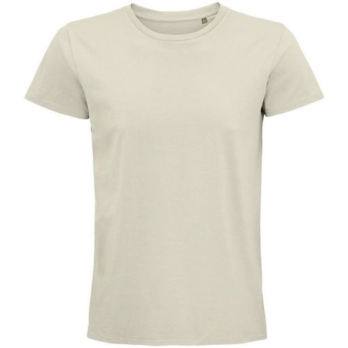 textil Hombre Tops y Camisetas Sols PIONNER MEN camiseta hombre 100% algodón biológico natural Blanco