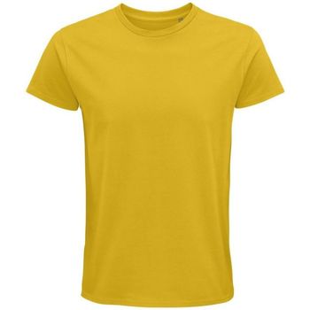 textil Hombre Tops y Camisetas Sols PIONNER MEN Amarillo