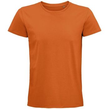 textil Hombre Tops y Camisetas Sols PIONNER MEN Naranja