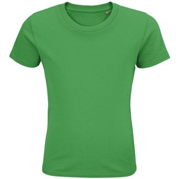 textil Niños Tops y Camisetas Sols PIONNER KIDS Verde