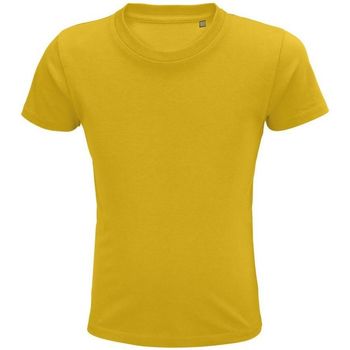 textil Niños Tops y Camisetas Sols PIONNER KIDS Amarillo
