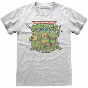textil Camisetas manga larga Teenage Mutant Ninja Turtles  Gris