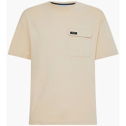 textil Hombre Tops y Camisetas Calvin Klein Jeans K10K109790 Beige