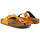 Zapatos Mujer Chanclas Scholl - greeny-f28057 Naranja