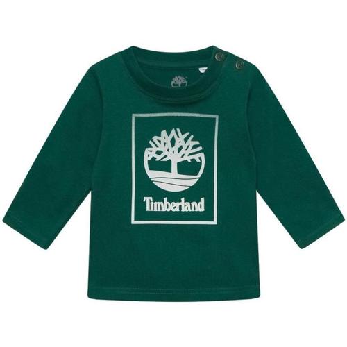 textil Niño Camisetas manga corta Timberland T05K66/678 Verde