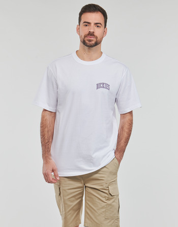 Dickies AITKIN CHEST TEE SS Blanco