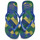 Zapatos Chanclas Havaianas BRASIL FRESH Marino / Azul