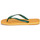 Zapatos Chanclas Havaianas BRASIL LOGO Amarillo / Verde