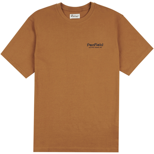 textil Hombre Tops y Camisetas Penfield T-shirt  Arc Mountain Back Graphic Marrón