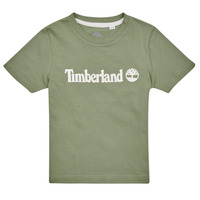 textil Niño Camisetas manga corta Timberland T25T77 Kaki