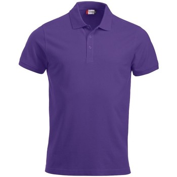 textil Hombre Tops y Camisetas C-Clique Classic Lincoln Violeta
