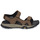 Zapatos Hombre Sandalias de deporte Timberland LINCOLN PEAK STRAP SANDAL Marrón / Negro