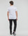 textil Hombre Camisetas manga corta Calvin Klein Jeans MICRO MONOLOGO TEE Blanco