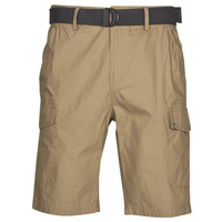 textil Hombre Shorts / Bermudas Oxbow P10RAGO Beige