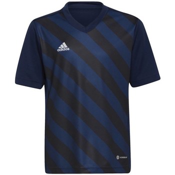 textil Niño Camisetas manga corta adidas Originals Entrada 22 Graphic Jersey Azul marino, Negros