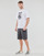 textil Hombre Shorts / Bermudas Volcom FRICKIN  MDN STRETCH SHORT 21 Gris