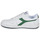 Zapatos Zapatillas bajas Diadora MAGIC BASKET LOW ICONA Blanco / Verde
