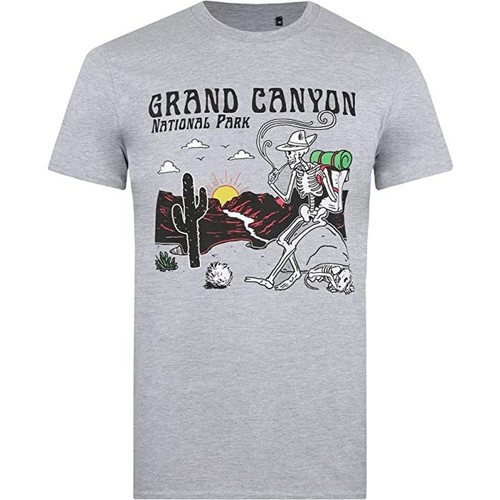 textil Hombre Camisetas manga larga National Parks Grand Canyon Gris