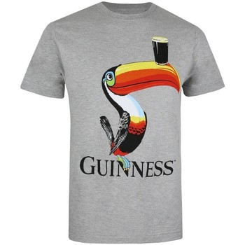 textil Hombre Camisetas manga larga Guinness  Gris