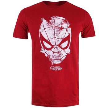 textil Hombre Camisetas manga larga Marvel  Rojo