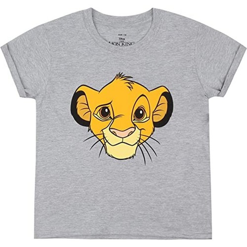 textil Mujer Camisetas manga larga The Lion King  Gris