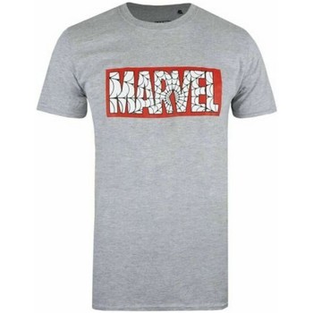 textil Hombre Camisetas manga larga Marvel  Gris