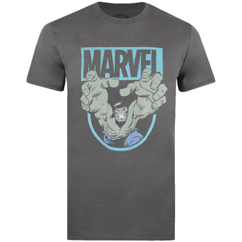 textil Hombre Camisetas manga larga Hulk Force Multicolor