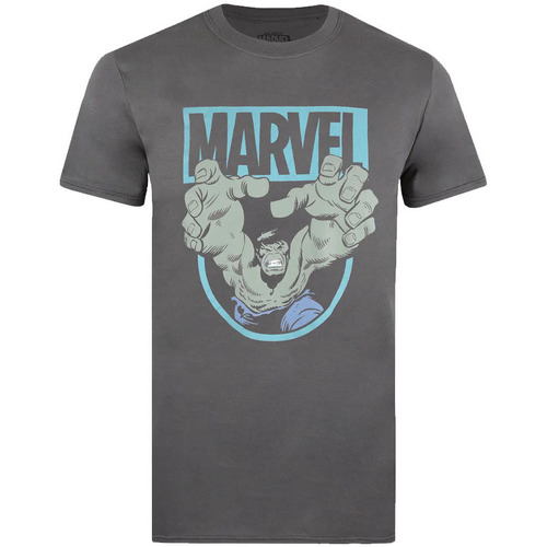 textil Hombre Camisetas manga larga Hulk Force Multicolor