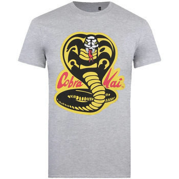 textil Hombre Camisetas manga larga Cobra Kai  Gris