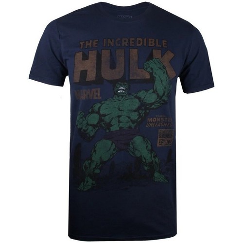 textil Hombre Camisetas manga larga Hulk Rage Azul