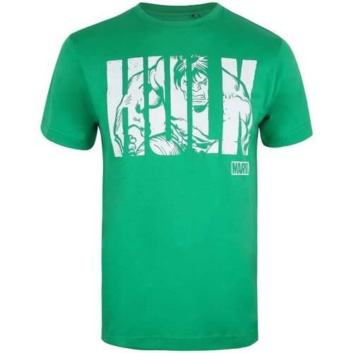 textil Hombre Camisetas manga larga Hulk TV856 Verde
