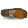Zapatos Mujer Botas de caña baja Dr. Martens 1460 Beige / Multicolor