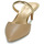 Zapatos Mujer Zuecos (Mules) MICHAEL Michael Kors JESSA MULE KITTEN Camel / Oro